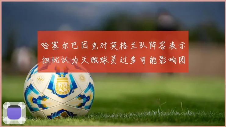 哈塞尔巴因克对英格兰队阵容表示担忧认为天赋球员过多可能影响团队合作