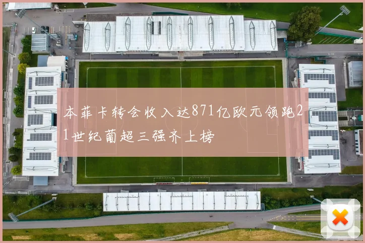 本菲卡转会收入达871亿欧元领跑21世纪葡超三强齐上榜